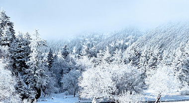 云南香格里拉的冬日冰雪秘境