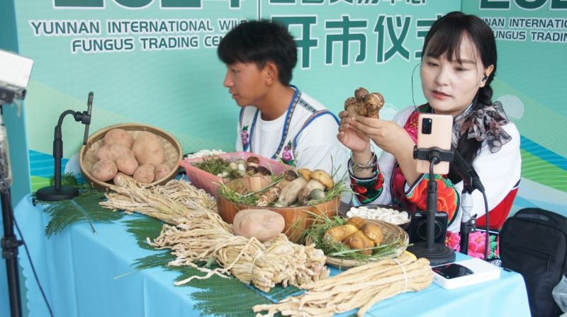 网络达人直播带货。南华县委宣传部供图