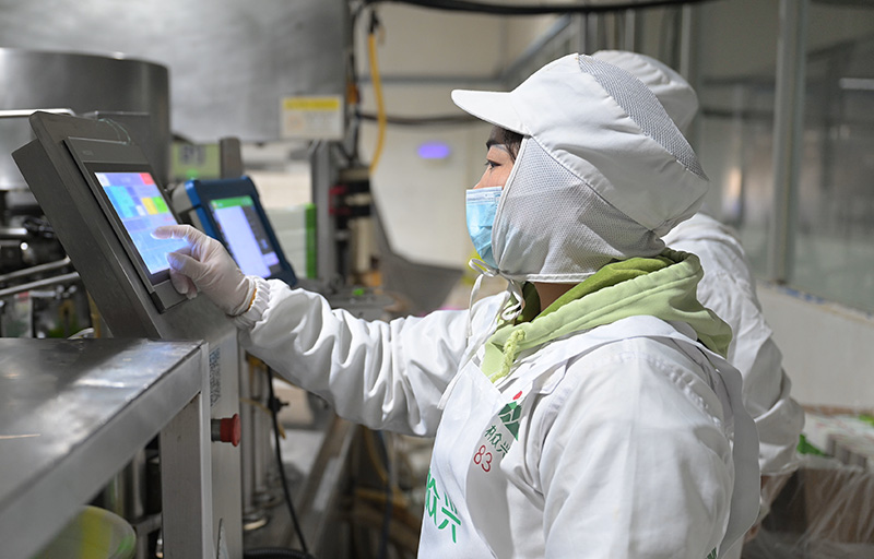 镇雄县众兴农业开发有限公司员工肖啟凤在生产车间操作鲜笋装袋机器设备，拍摄于12月3日
