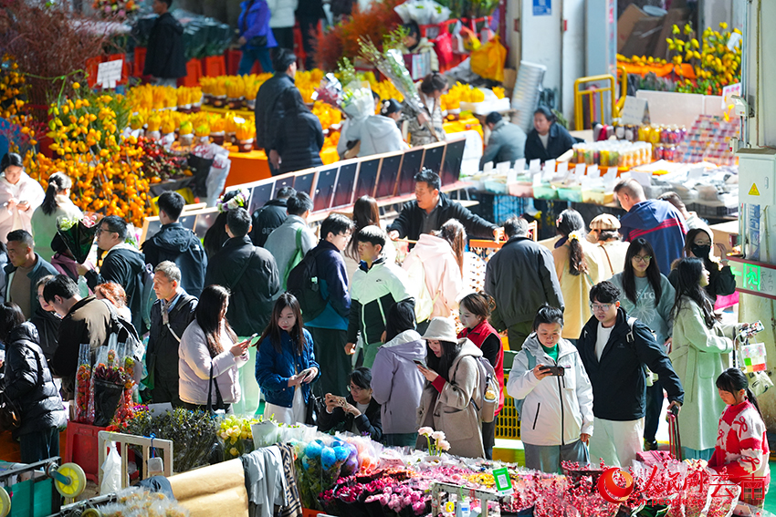 游客和市民在昆明斗南花市选购鲜花。人民网记者 李发兴摄