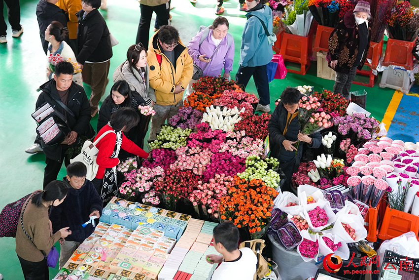 游客和市民在昆明斗南花市选购鲜花。人民网记者 李发兴摄