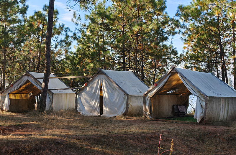 露营帐篷错落分布在两岸的松林之中。