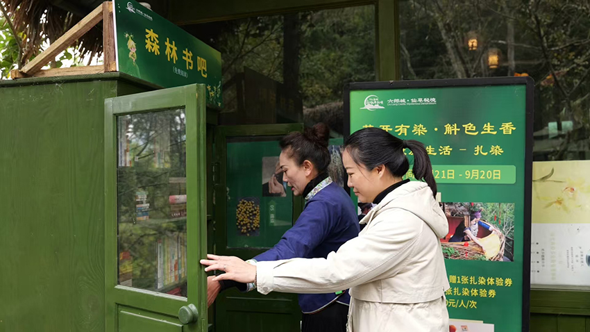 广南县仙草秘境·六郎城景区内的森林书吧。许文娟摄