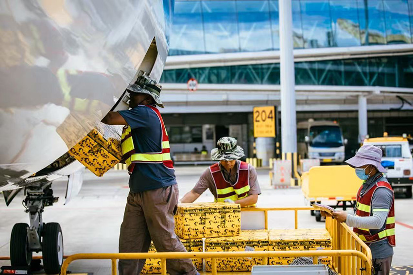 【2】图为西双版纳嘎洒国际机场装货现场。西双版纳区域机场管理分公司供图