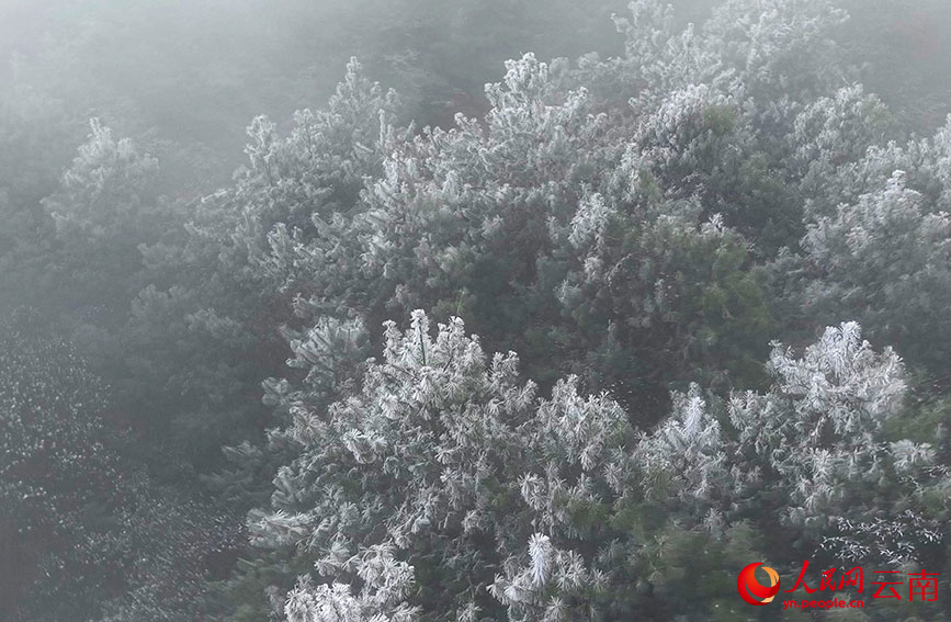 航拍雾凇美景。堵绍娟摄