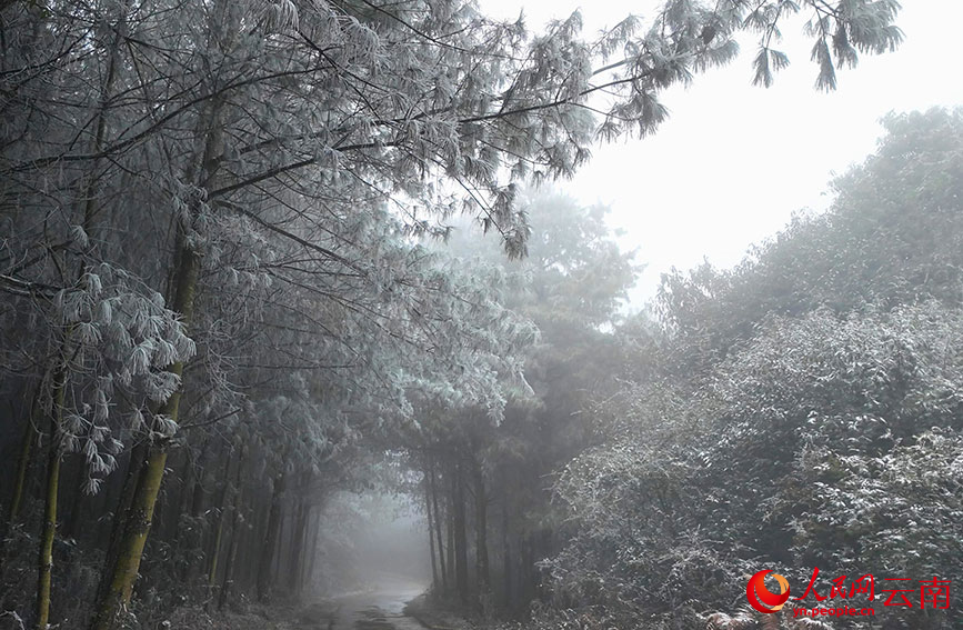 漫山草木皆换银装。王绍祥摄