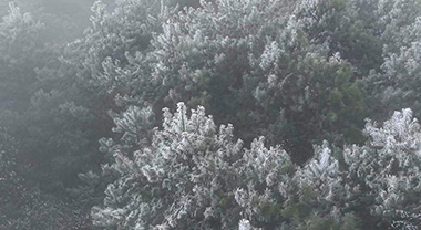 石林圭山迎来2026年首场雾凇景观