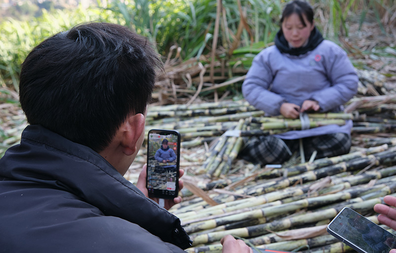 大关闻远科技有限公司的抖音账号竹香大关助农直播（2026年1月13日武琛蕊拍摄）-(2)