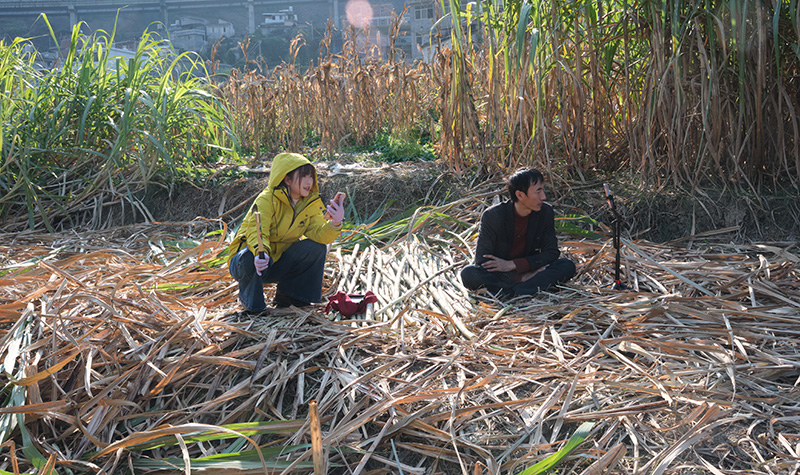 抖音主播“李子哥”在甘蔗田里助农直播-(2026年1月13日武琛蕊拍摄)-(2)