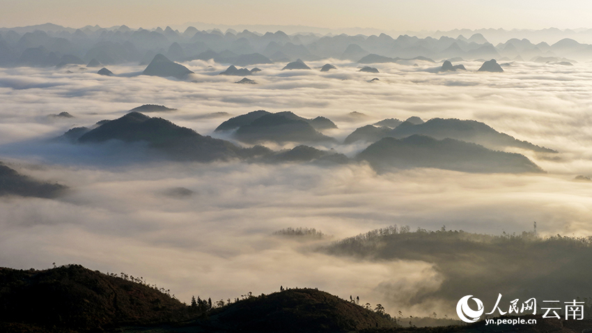 云南罗平，云海将峰林点缀成泼墨长卷。毛虹摄