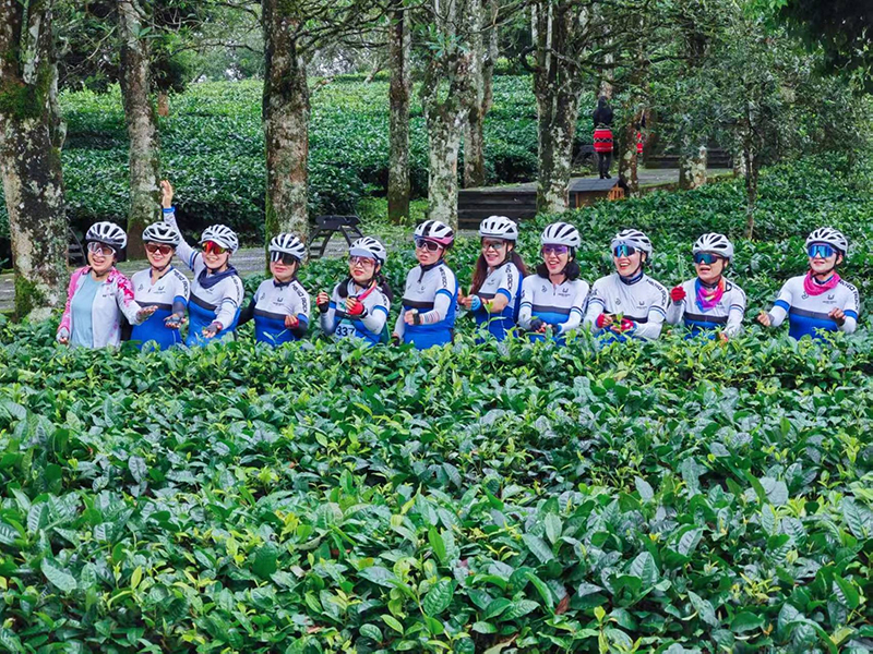 2024七彩雲南格蘭芬多自行車比賽選手在思茅萬畝茶園打卡拍照。