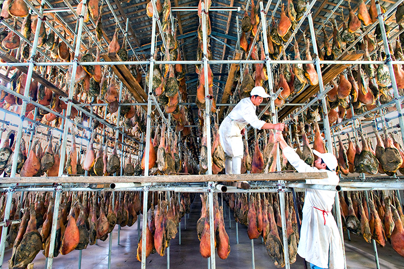 大河乌猪制品。