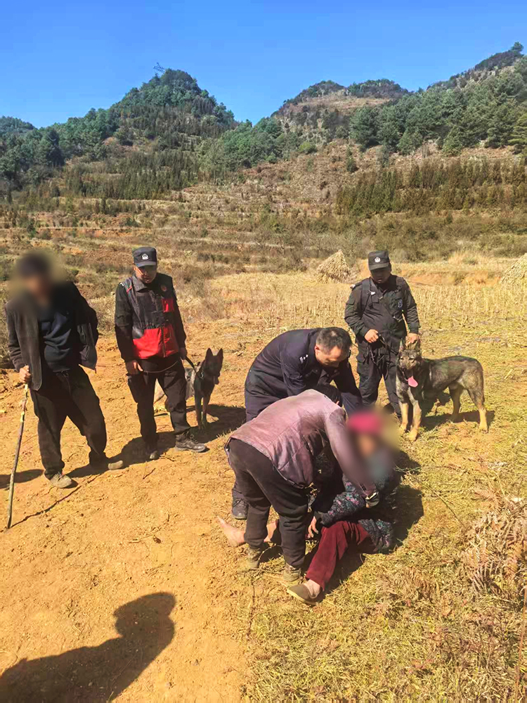 【3】在警犬“小龍”和“貝貝”的示警下走失老人在深山中被成功找到。曲靖市公安局供圖