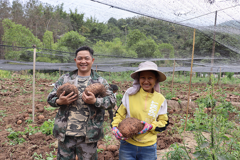 村民丰收的喜悦。刘丽丽摄