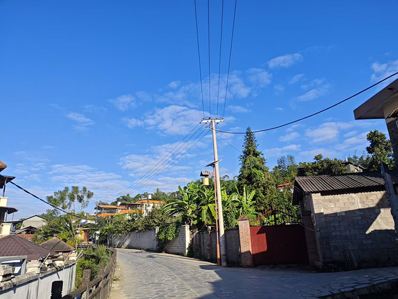 電網智能化升級。