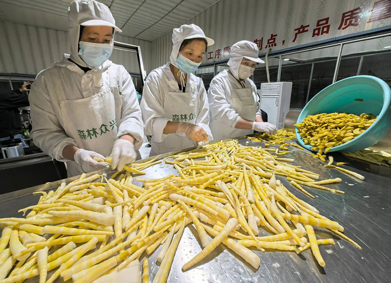 特色农业提质增效，田间地头结出“金疙瘩”。