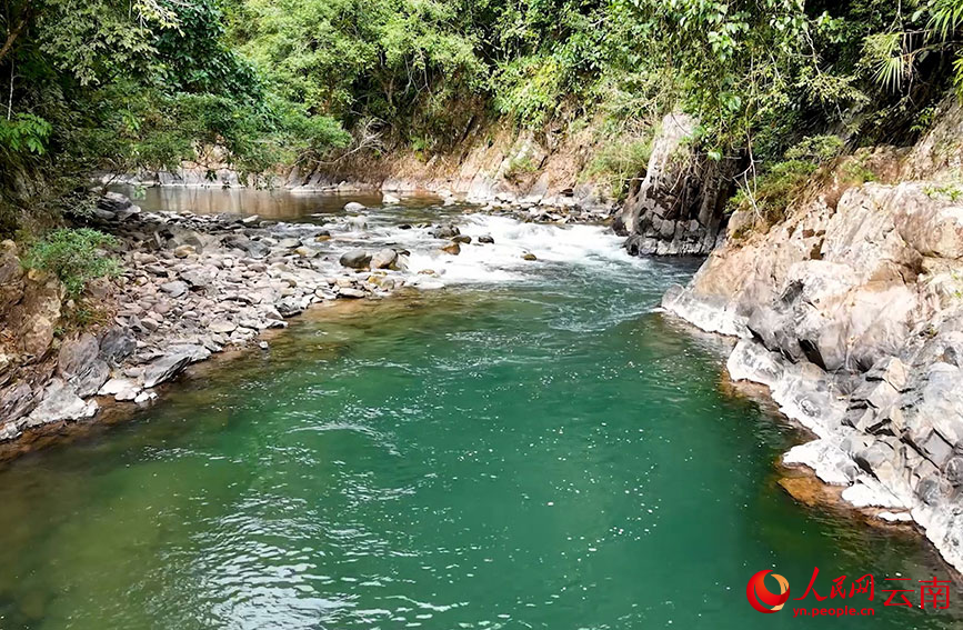 清風撫河谷。馬冬師攝