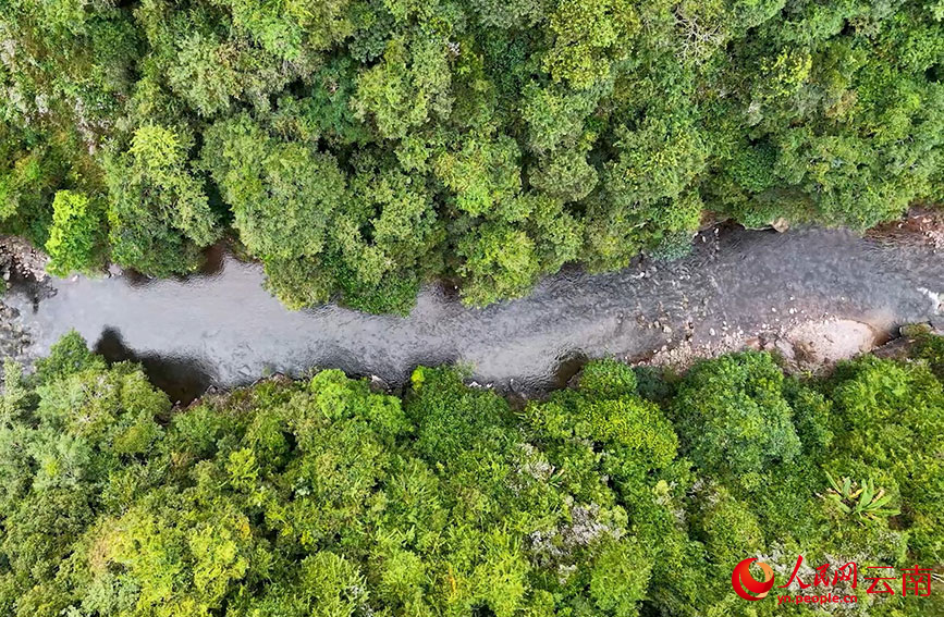 渣嗎河兩岸綠意濃。馬冬師攝