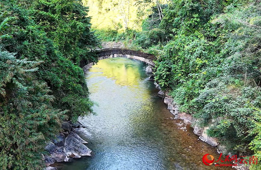 渣嗎河兩岸綠樹成蔭。馬冬師攝