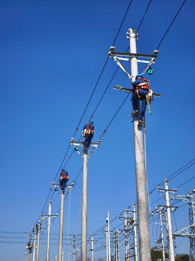 曲靖供電局開展2026年首期配電專業核心能力提升示范培訓班。