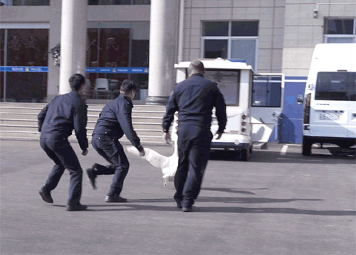 民警對大鵝“圍追堵截”。楚雄警方供圖