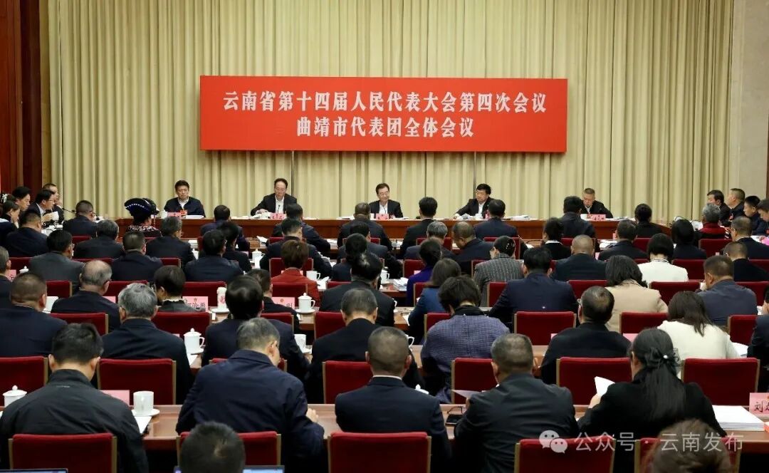 王宁参加曲靖市代表团审议政府工作报告、审查省“十五五”规划纲要草案