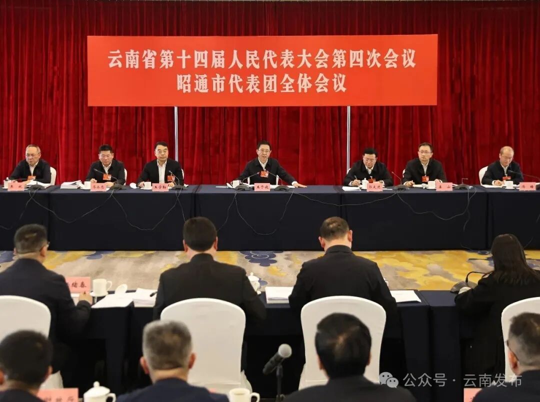 王予波参加昭通市代表团审议审查