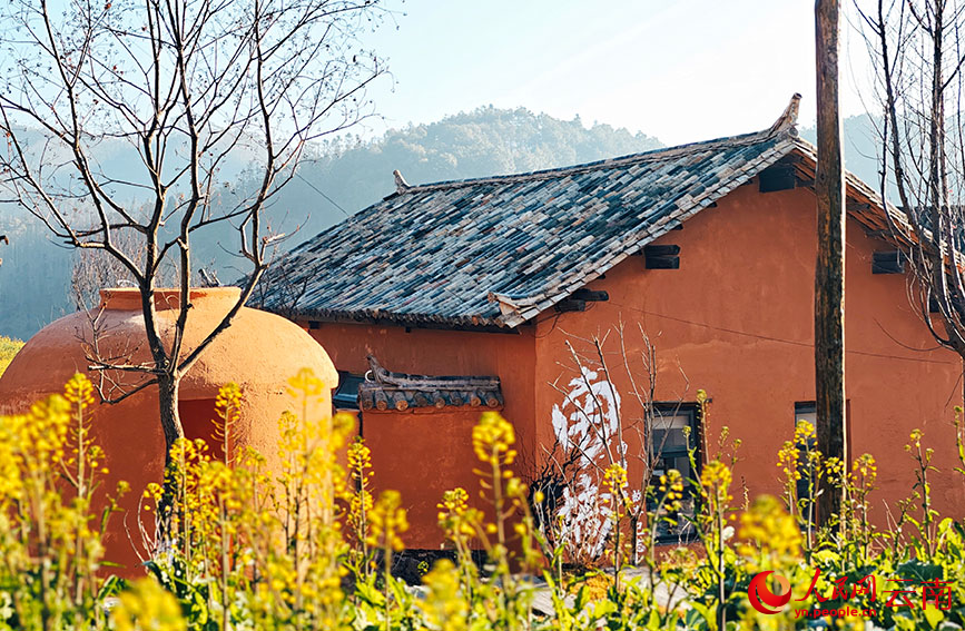 民居与油菜花相映成趣。人民网 尹馨摄