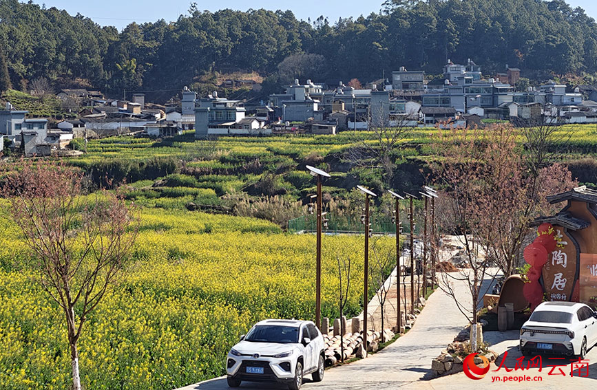 金色花海与村庄相映成趣。人民网 尹馨摄