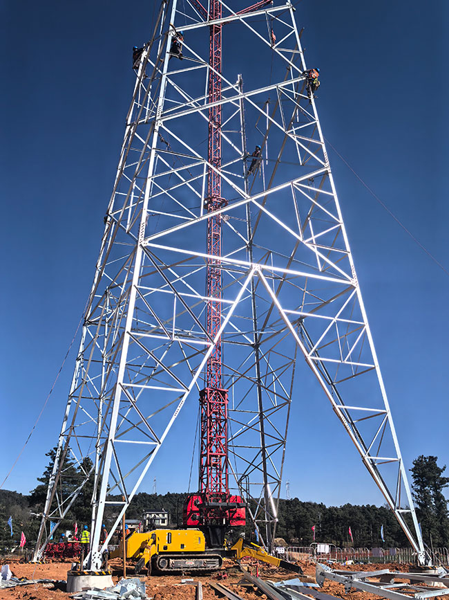工作人员运用蜘蛛吊组立铁塔。张伟荣摄