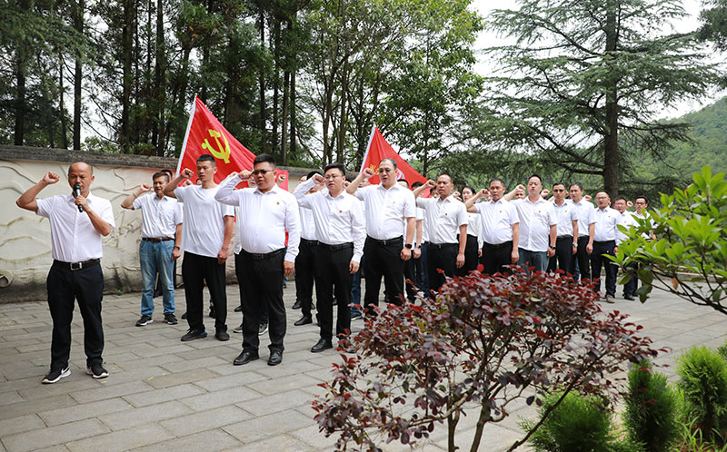 党员在钟山烈士陵园重温入党誓词。