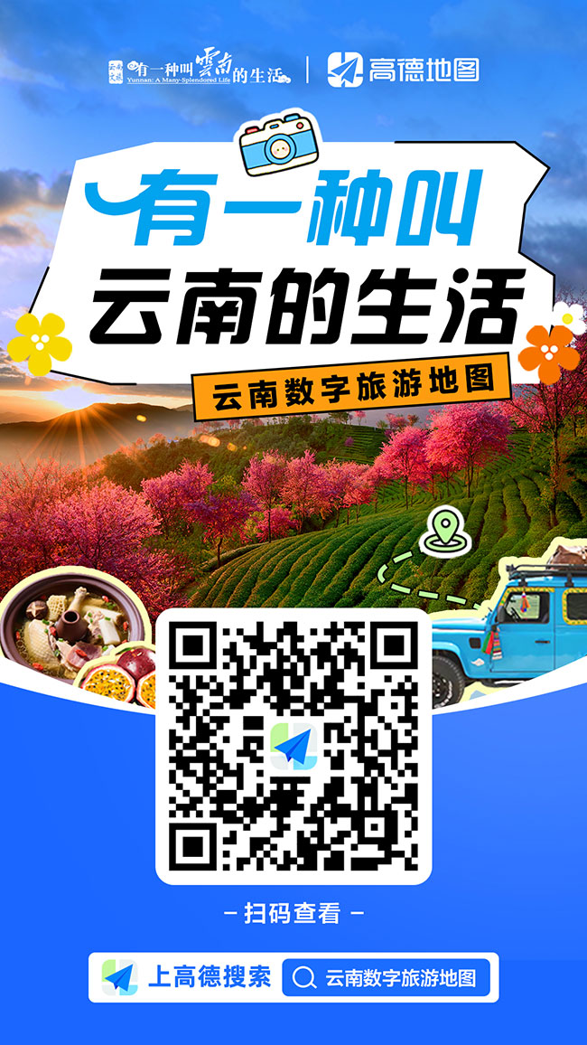 上高德搜索云南数字旅游地图