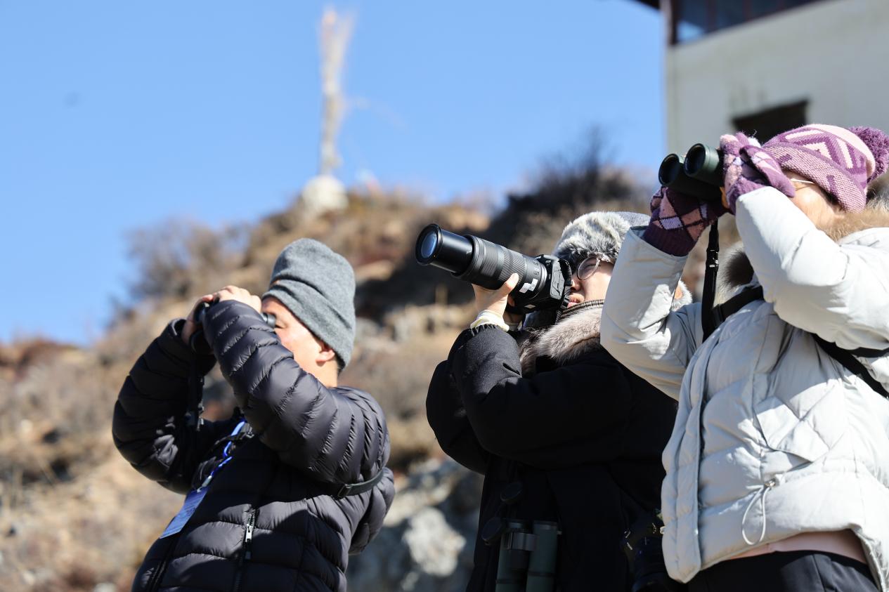 觀鳥隊在記錄拍攝。