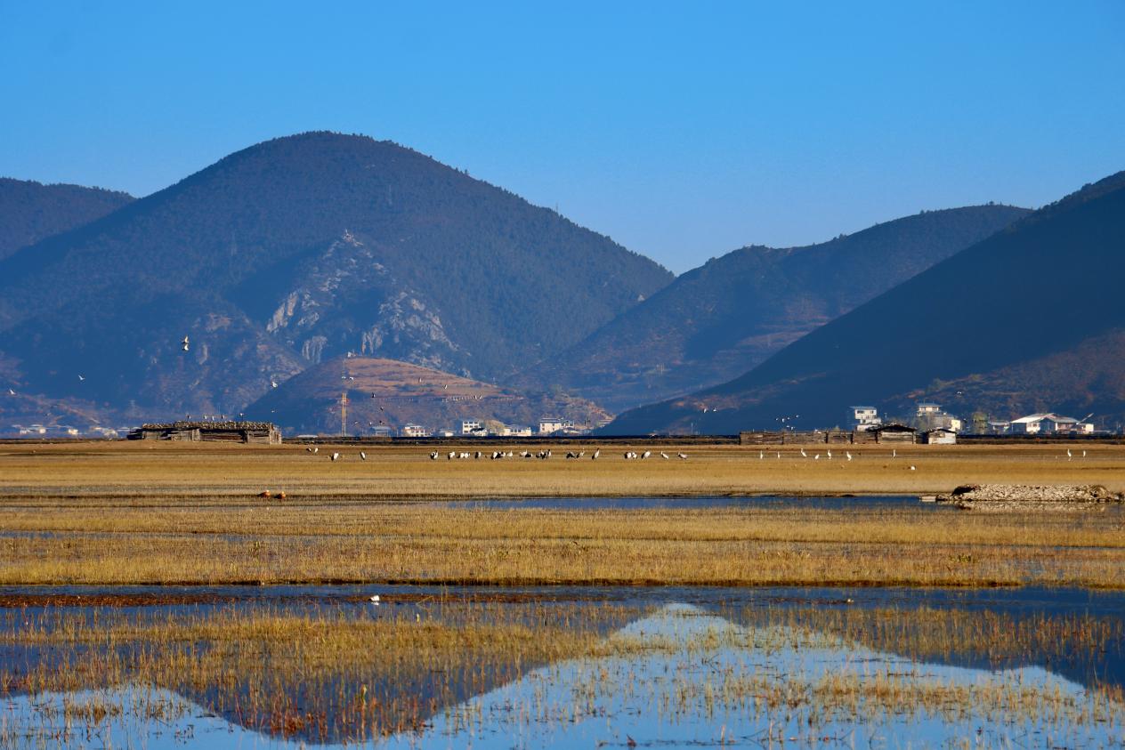 冬日的納帕海省級自然保護區。