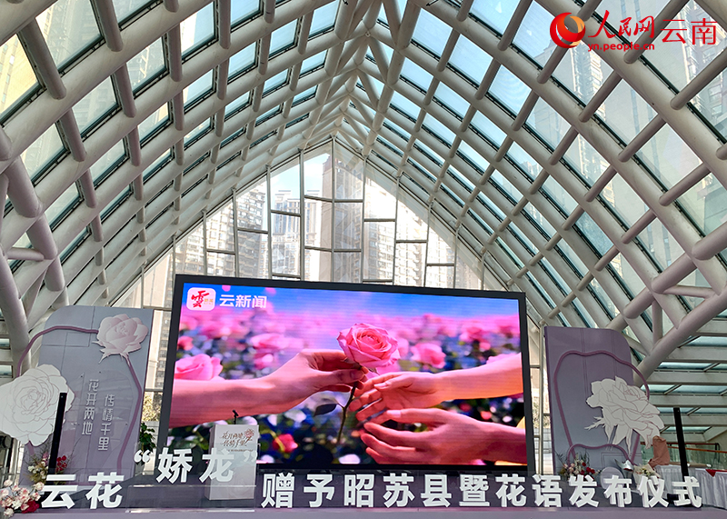 活动现场。人民网-王娴摄