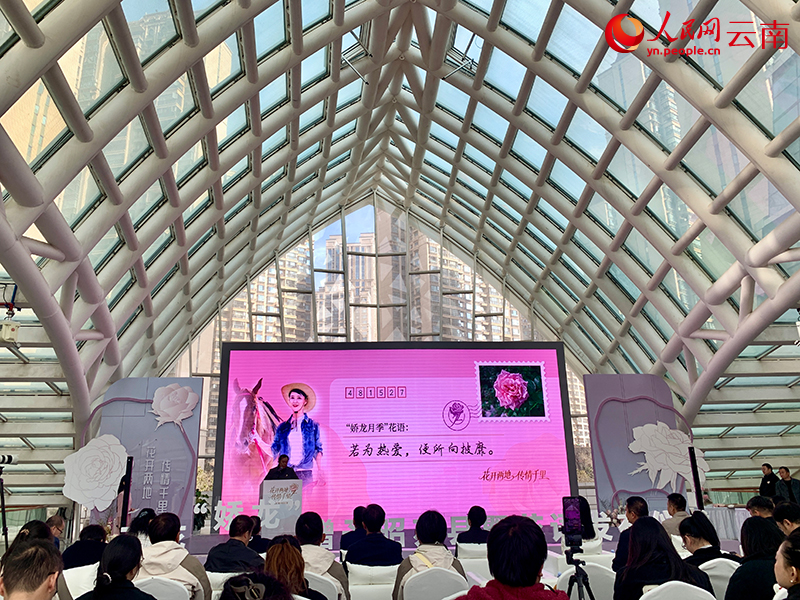 活动现场。人民网 王娴摄