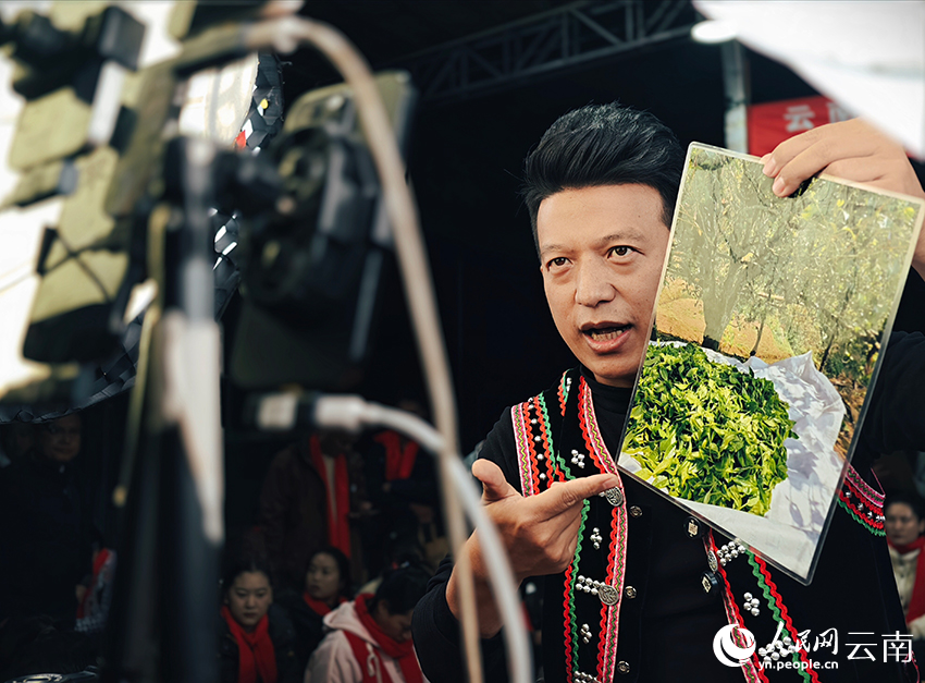 【4】杨金福手举照片讲解茶树的生长情况。人民网-尹馨摄