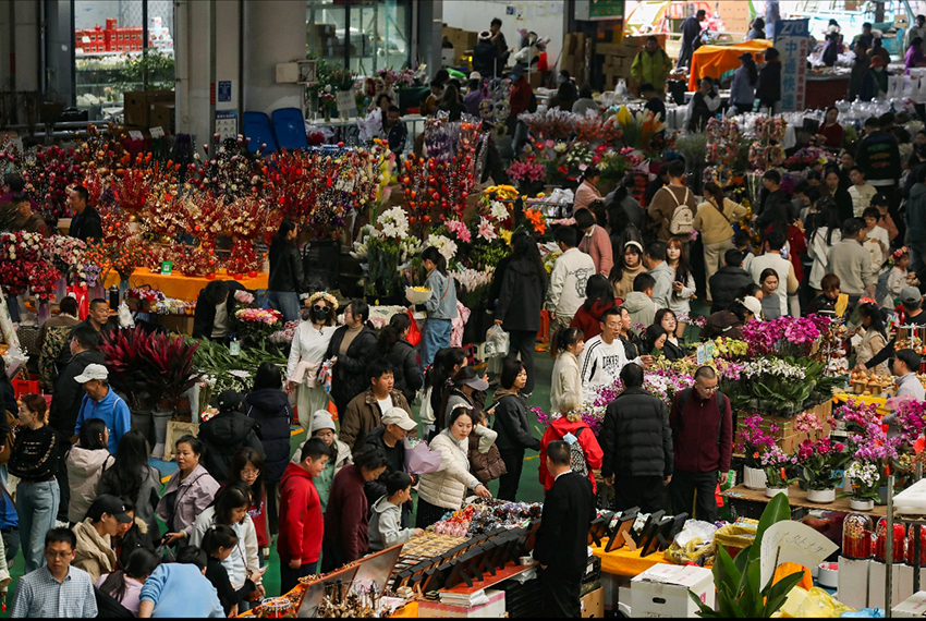 昆明斗南花卉市场内景。郑 益摄
