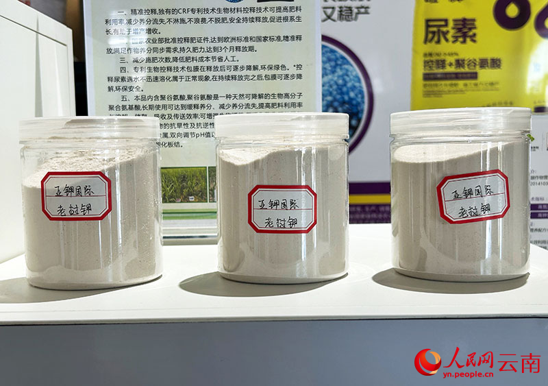 昆明国际化肥交易集散中心展厅内展示的老挝钾。人民网记者刘怡-摄