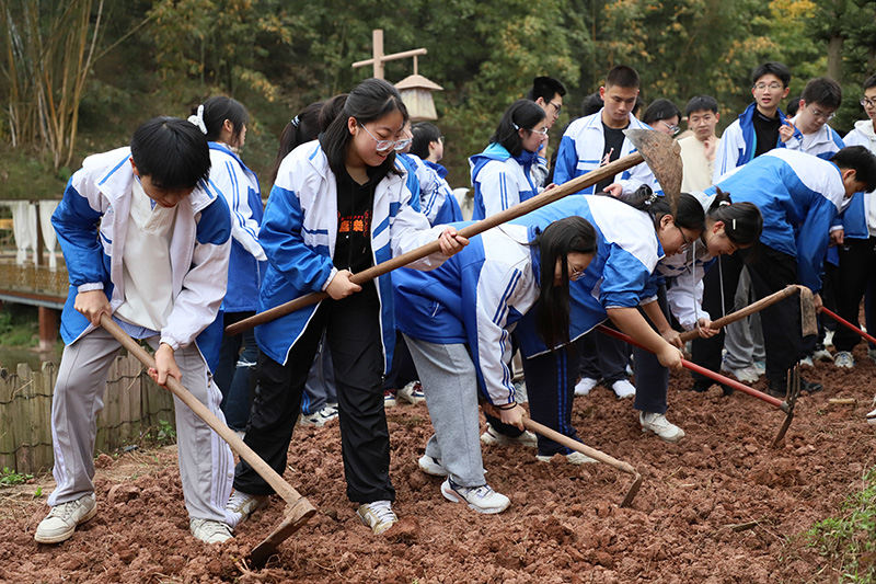 高滩城市田园研学教育（刘思辰拍摄于2025.03）
