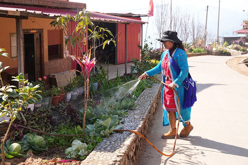 西盟縣新廠鎮永廣村村民在自家門前小菜園澆水。陳龍汝男攝