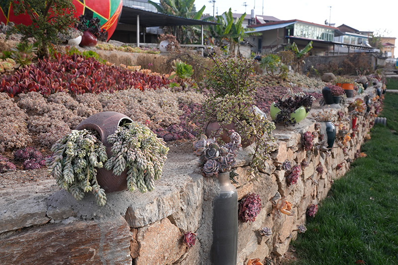 西盟縣力所鄉南亢村村組綠化。陳龍汝男攝