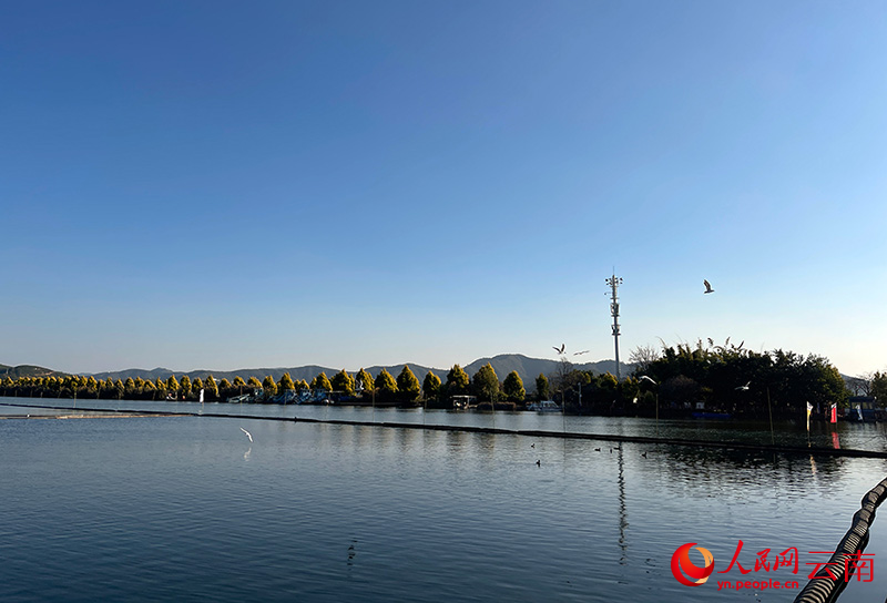 【1】立春后的异龙湖景色。人民网记者-程浩摄