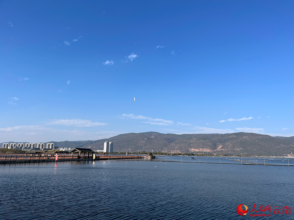 立春后的异龙湖。人民网记者 程浩摄