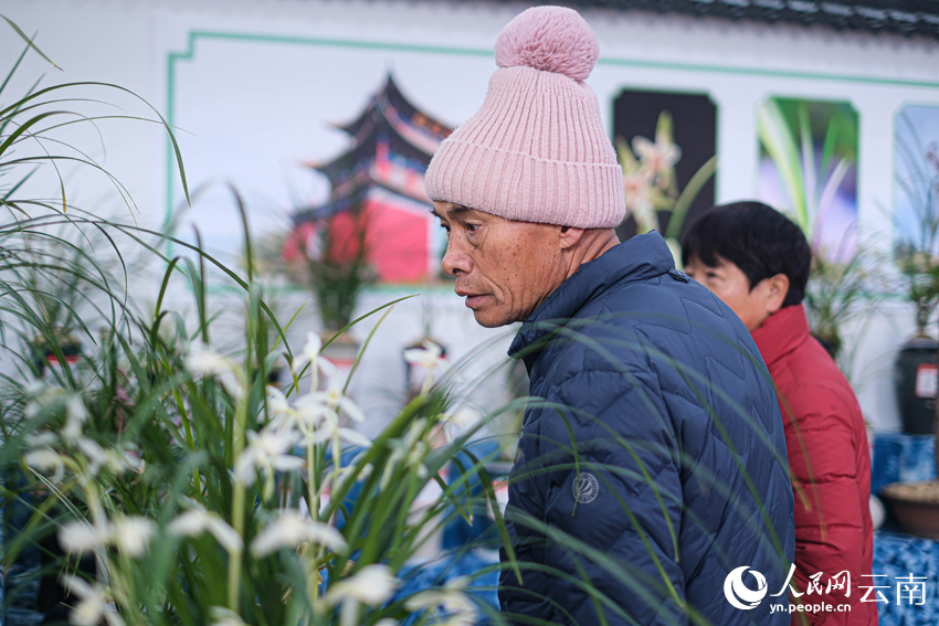 蘭友駐足賞蘭。人民網記者 曾智慧攝