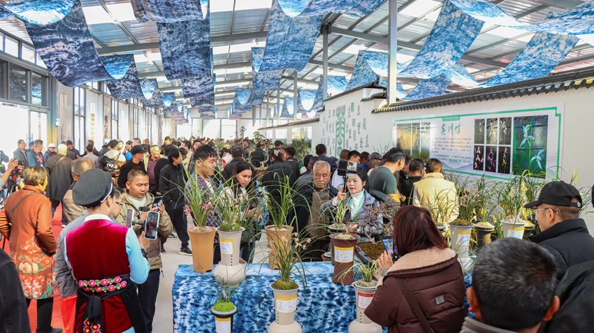 熱鬧非凡的蘭花博覽會現場。鶴慶縣融媒體中心供圖