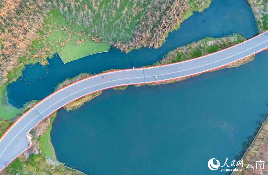 圖為2月7日拍攝的滇池環湖生態帶。人民網記者 虎遵會攝