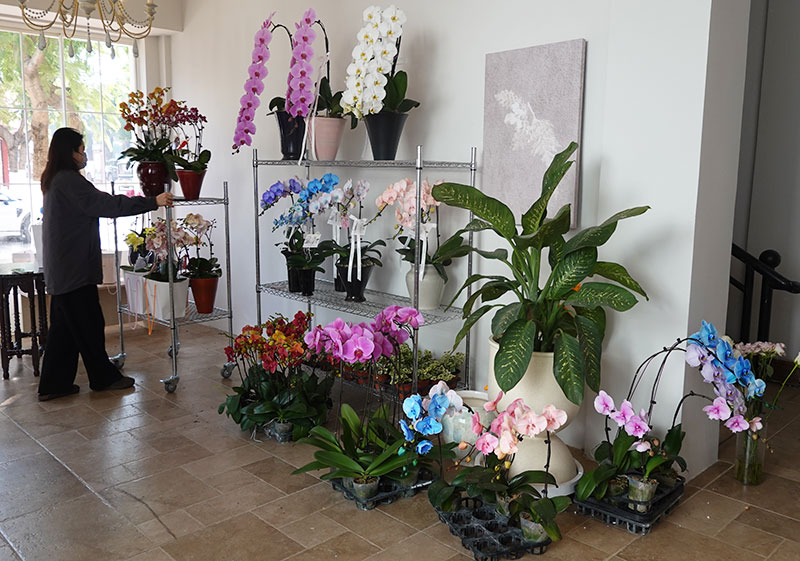 罗梦婷在为顾客搭配花束。邱美华摄