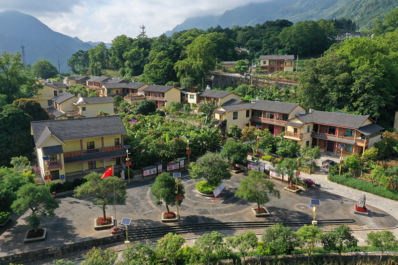 绿美家园。