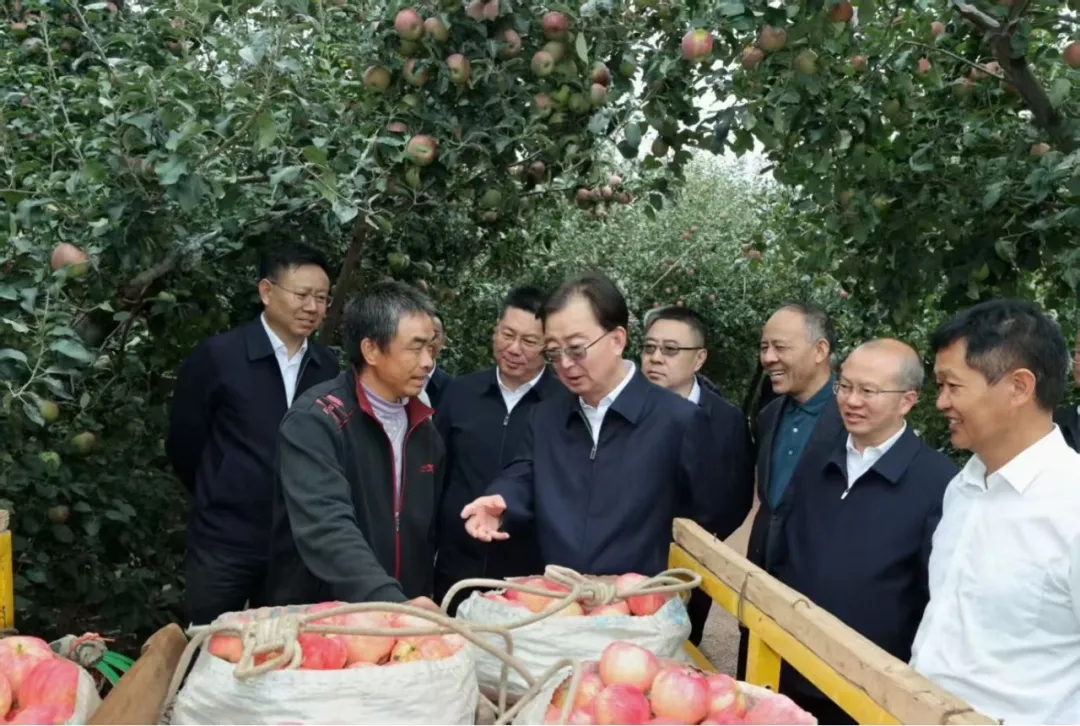 2025年9月24日，王宁在昭通市昭阳区永丰镇苹果种植基地，与果农深入交流。周灿 摄